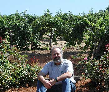 Diamond Creek winemaker, Phil Steinschriber